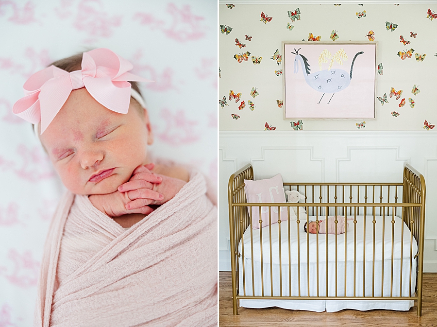 girl in dragon nursery