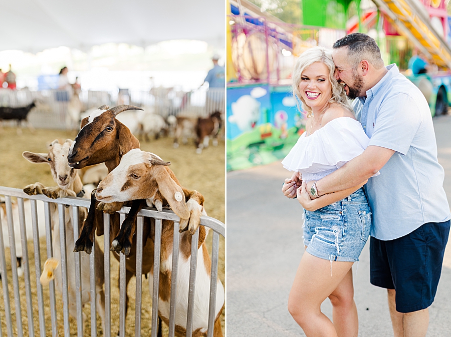 goats at this fair engagement session
