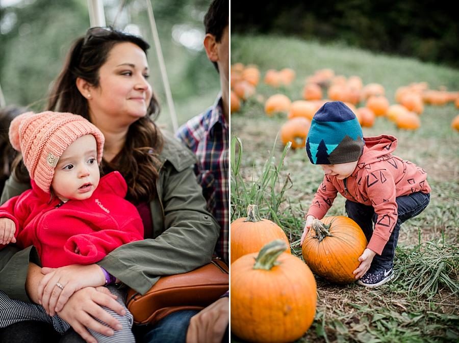 Picking pumpkins at this Oakes Farm Session by Knoxville Wedding Photographer, Amanda May Photos.