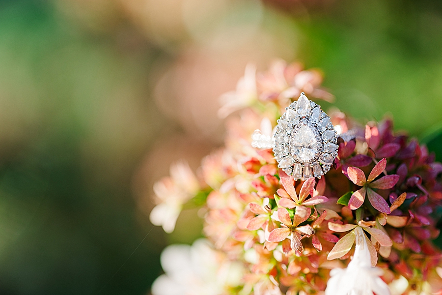 engagement ring on flowers