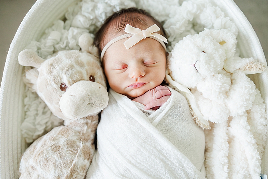 baby girl at in home newborn session