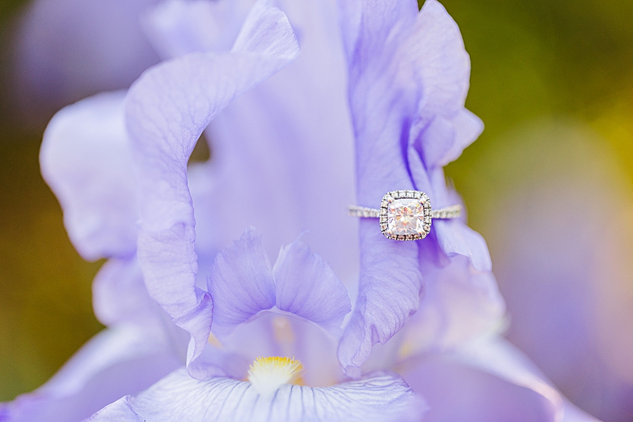 Engagement ring resting on a flower at UT Gardens Engagement by Amanda May Photos