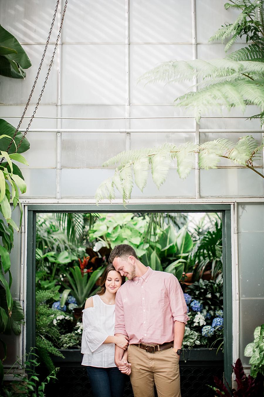 Conservatory doorway at this Biltmore Engagement by Knoxville Wedding Photographer, Amanda May Photos.