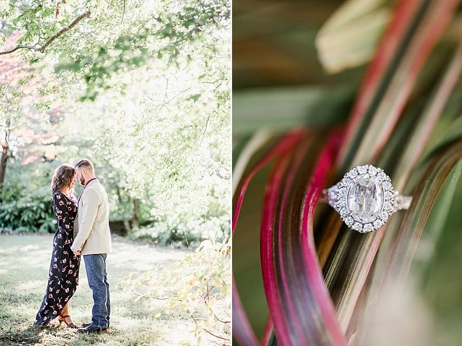 Oval engagement ring at this Knoxville Botanical Gardens Engagement by Knoxville Wedding Photographer, Amanda May Photos.