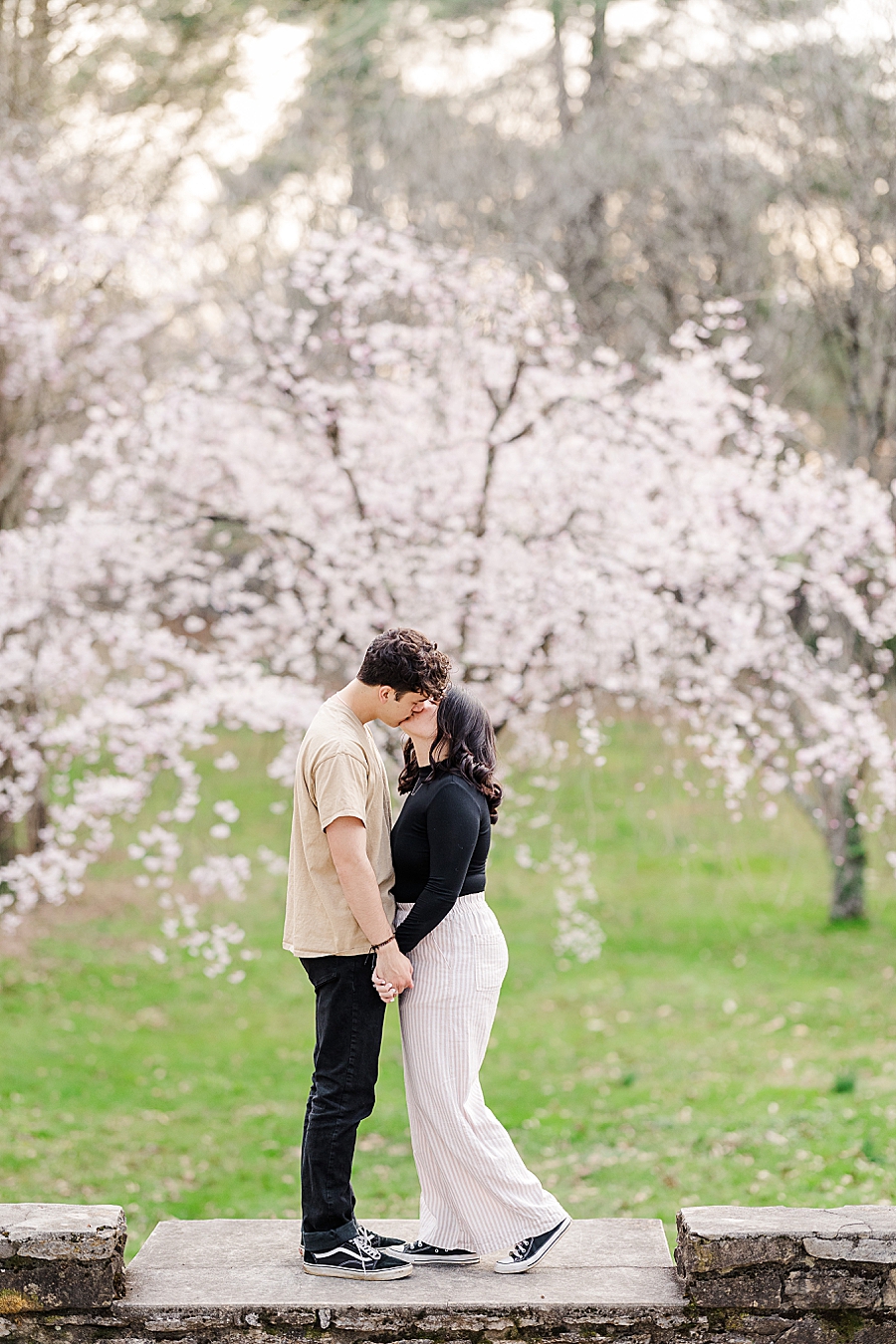 kissing in front of blooming cherry