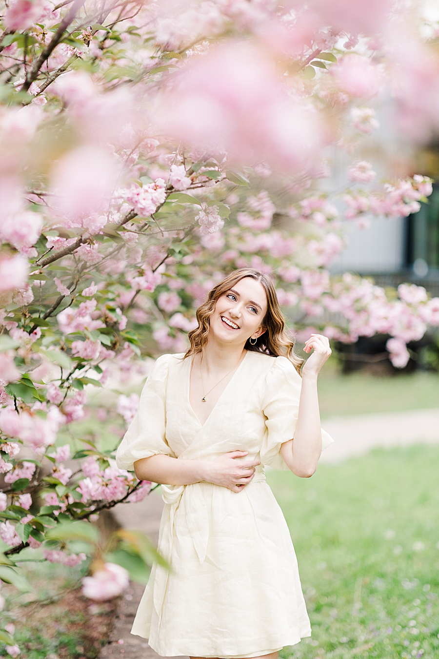 pink blossoms at knoxville botanical senior session