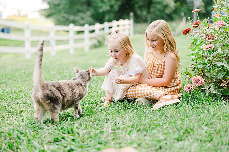 girls playing with cat