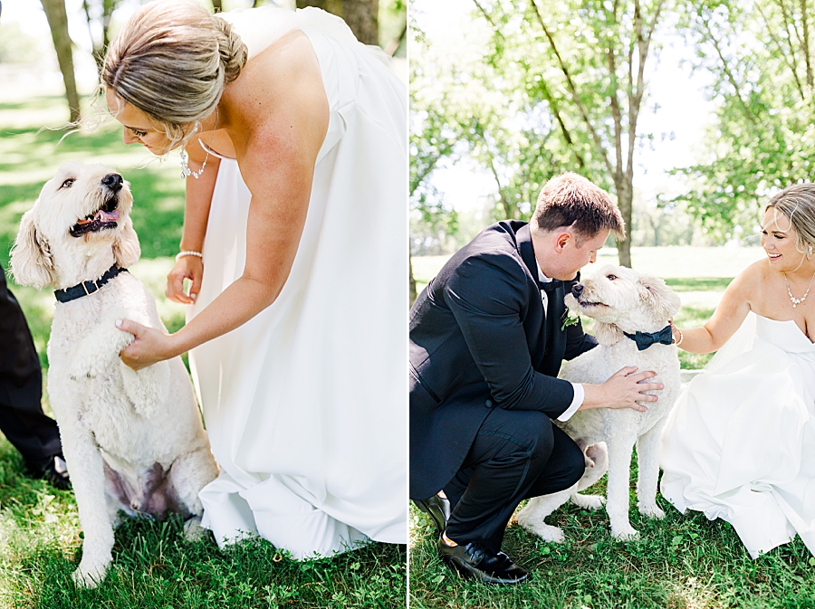 bride holding dog's paw