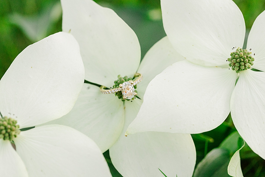 engagement ring on dogwood bloom