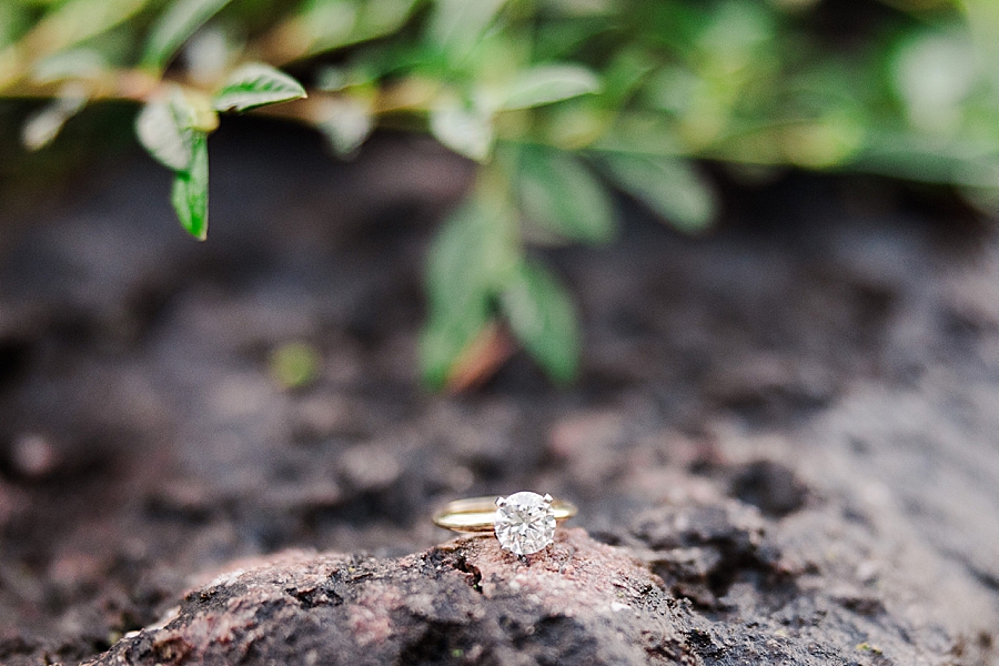 engagement ring at marblegate farm engagement