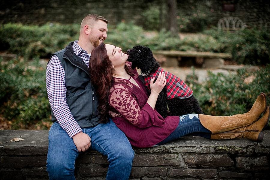 Their puppy sitting in her lap at this Knoxville Botanical Gardens engagement session by Knoxville Wedding Photographer, Amanda May Photos.