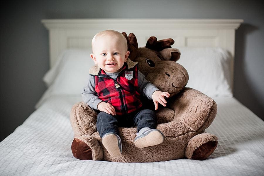 Baby sitting on moose at this AMP Studio one year old session by Knoxville Wedding Photographer, Amanda May Photos.