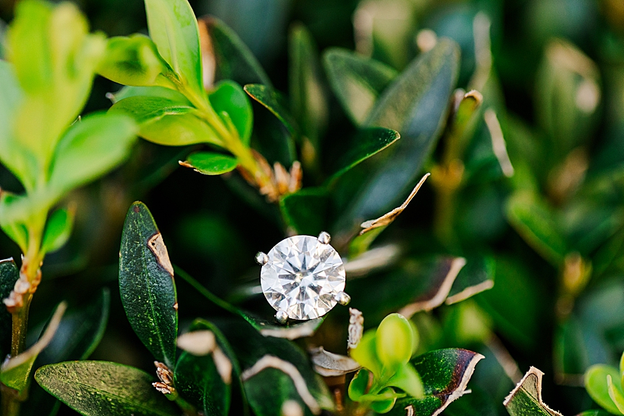 round diamond engagement ring