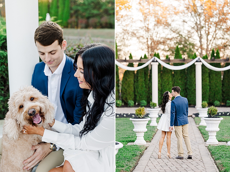 dog at puppy engagement