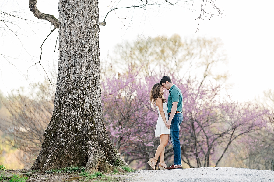 foreheads together at sequoyah hills spring engagement