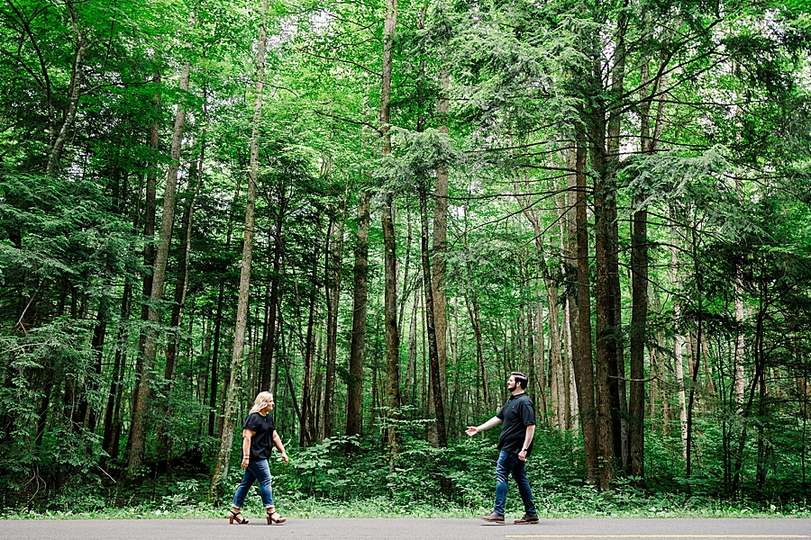 forest background of smoky mountain engagement session