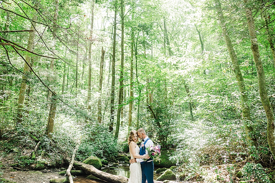 forest views at smoky mountain wedding