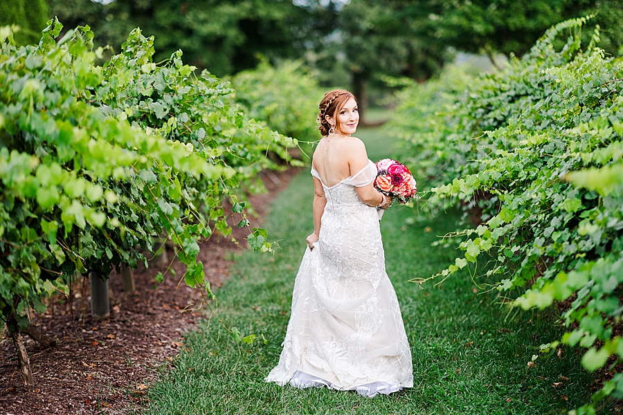 bride standing in vineyard