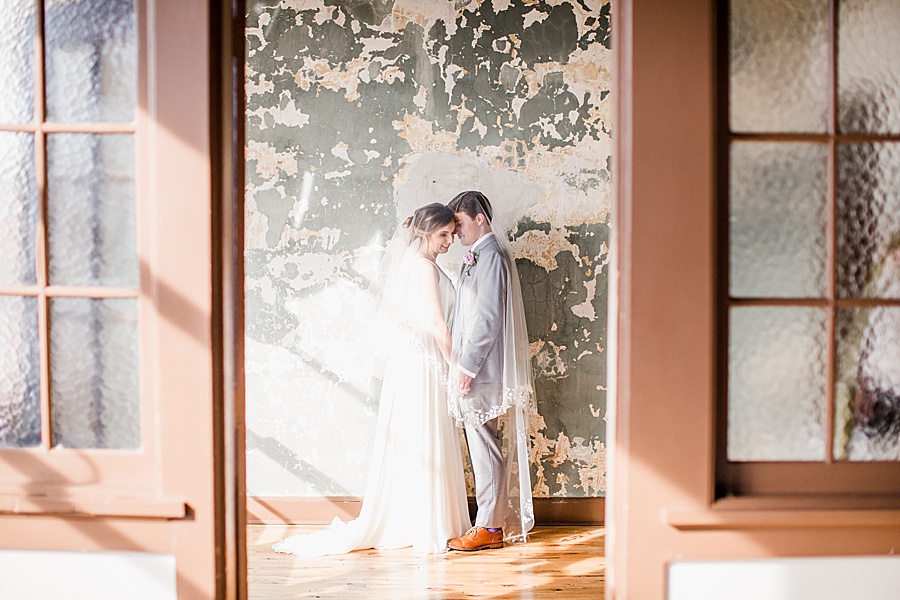 Natural light by Knoxville Photographer, Amanda May Photos.