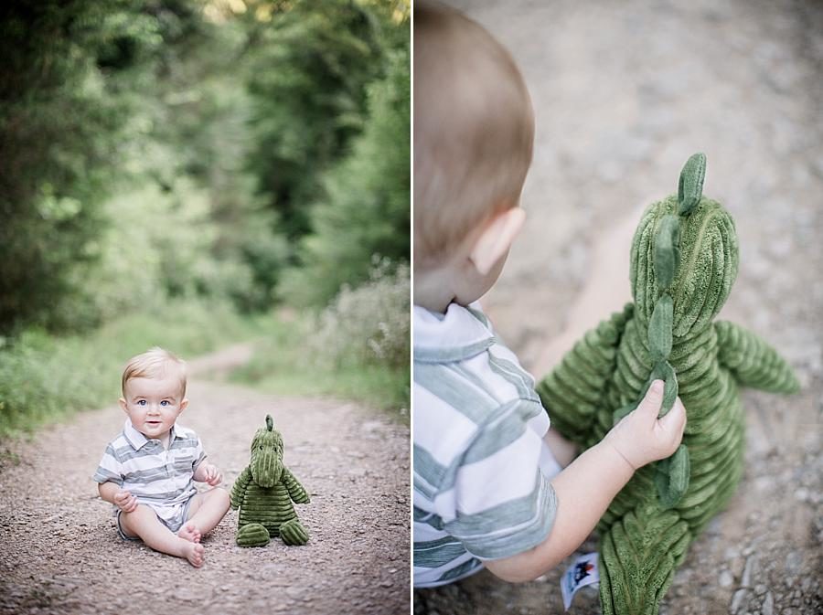 Stuffed dinosaur at this Meads Quarry 9 month photos session by Knoxville Wedding Photographer, Amanda May Photos.