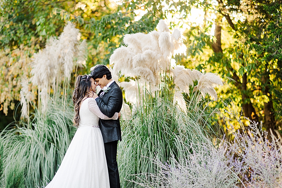 couple standing by pampas grass