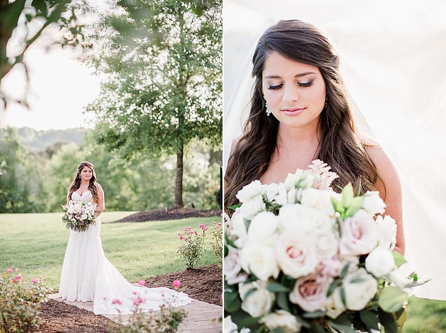 Creamy bridal bouquet at this WindRiver Bridal Portraits by Knoxville Wedding Photographer, Amanda May Photos.
