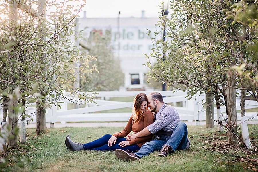 Apple orchard at this Apple Barn Engagement by Knoxville Wedding Photographer, Amanda May Photos.