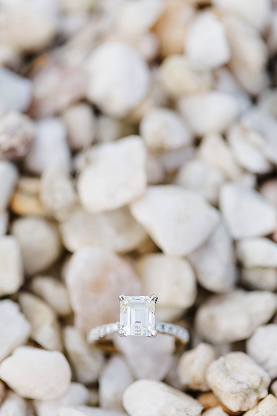 engagement ring in rocks at baxter gardens