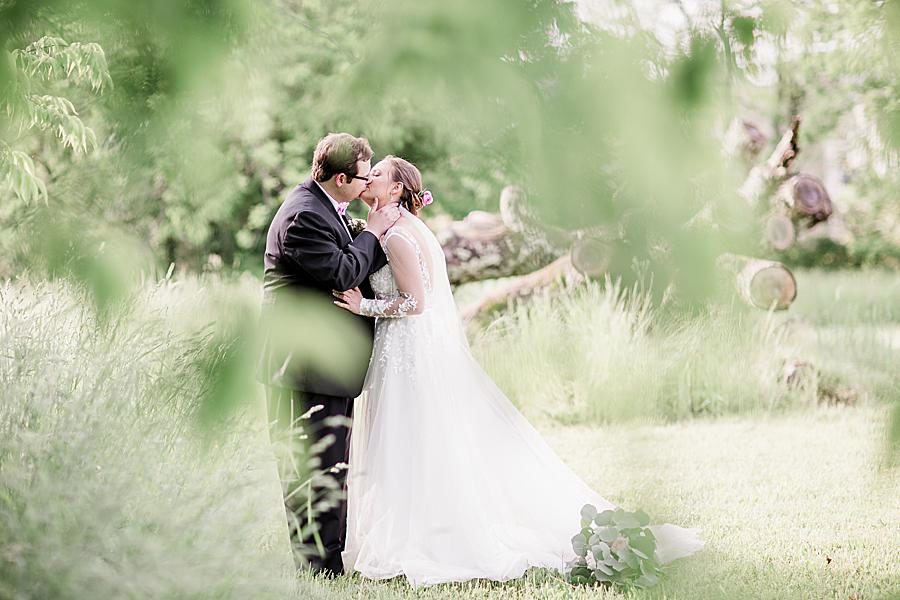 Tree leaves at this Cardwell Manor Wedding by Knoxville Wedding Photographer, Amanda May Photos.