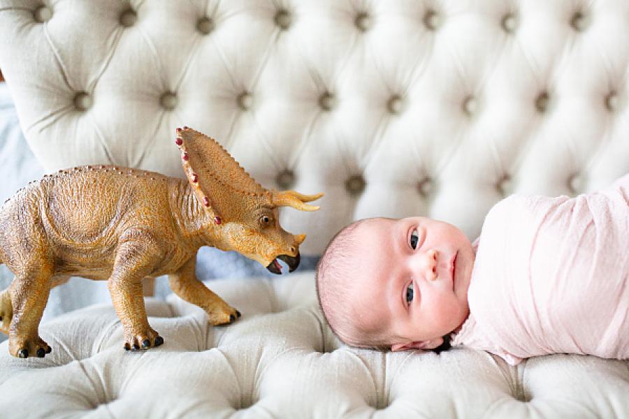 newborn girl and dinosaur at dinosaur newborn