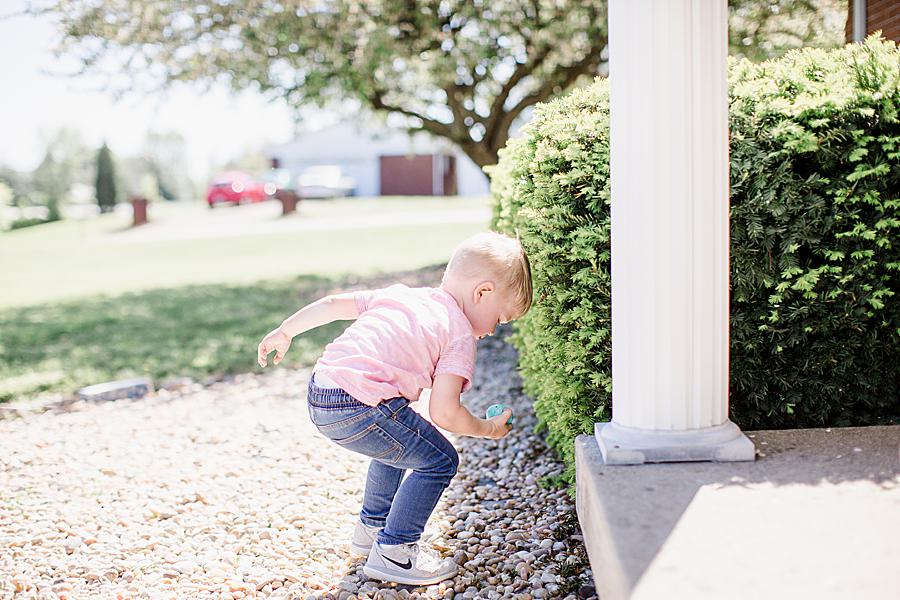 Egg hunt at this Easter 2019 by Knoxville Wedding Photographer, Amanda May Photos.