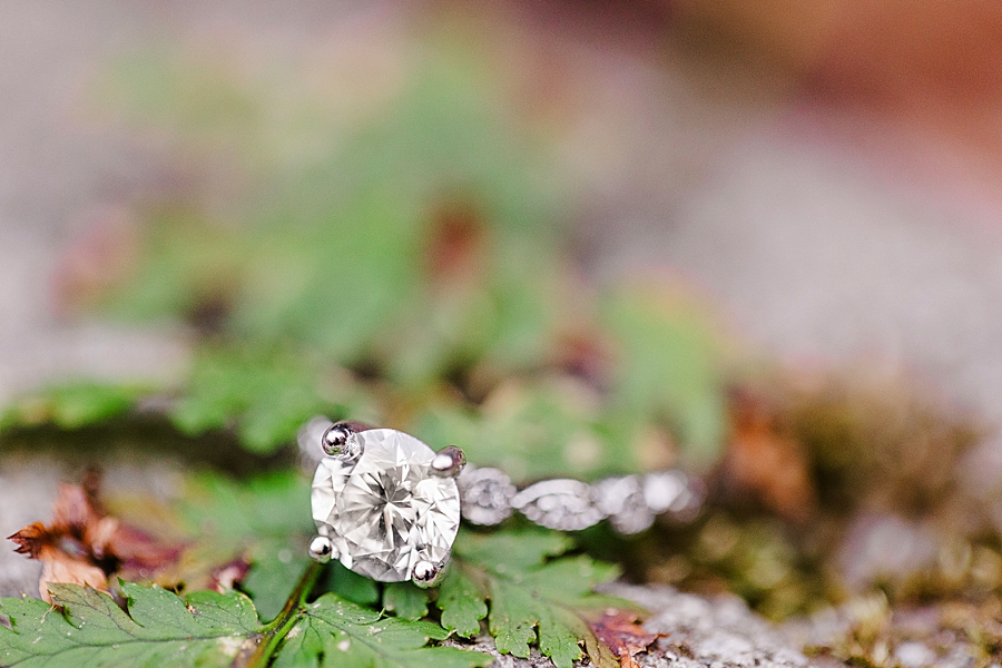 engagement ring at grotto falls proposal