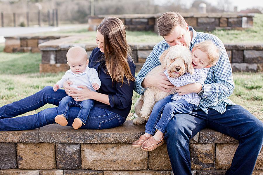 The whole family at this Harlinsdale Farm by Knoxville Wedding Photographer, Amanda May Photos.