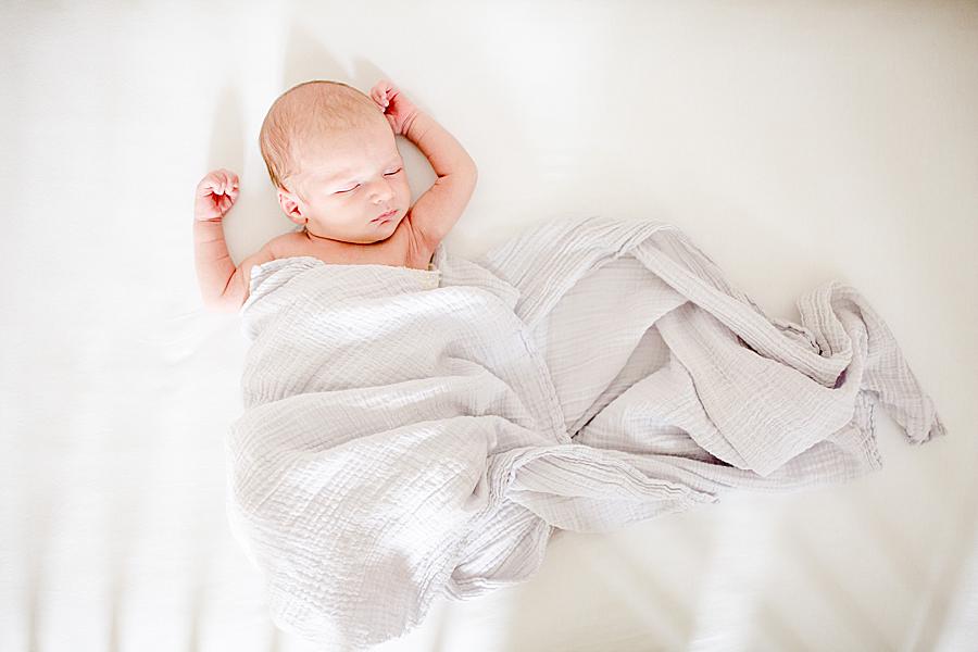 Sleeping baby at this newborn session by Knoxville Wedding Photographer, Amanda May Photos.
