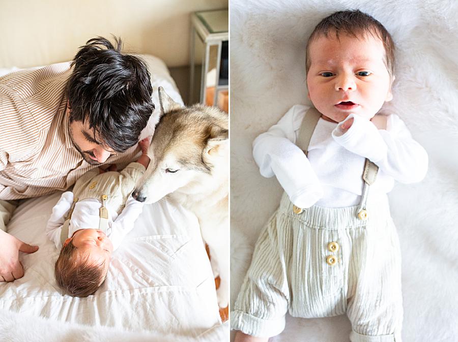 Dad and husky looking at baby during lifestyle newborn session