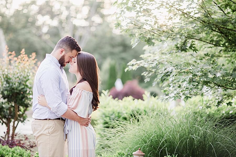 Foreheads together at this engagement session by Knoxville Wedding Photographer, Amanda May Photos.