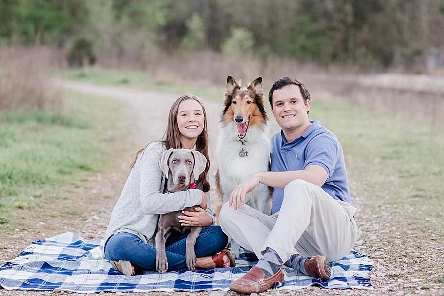 Couple with pups at this engagement session by Knoxville Wedding Photographer, Amanda May Photos.